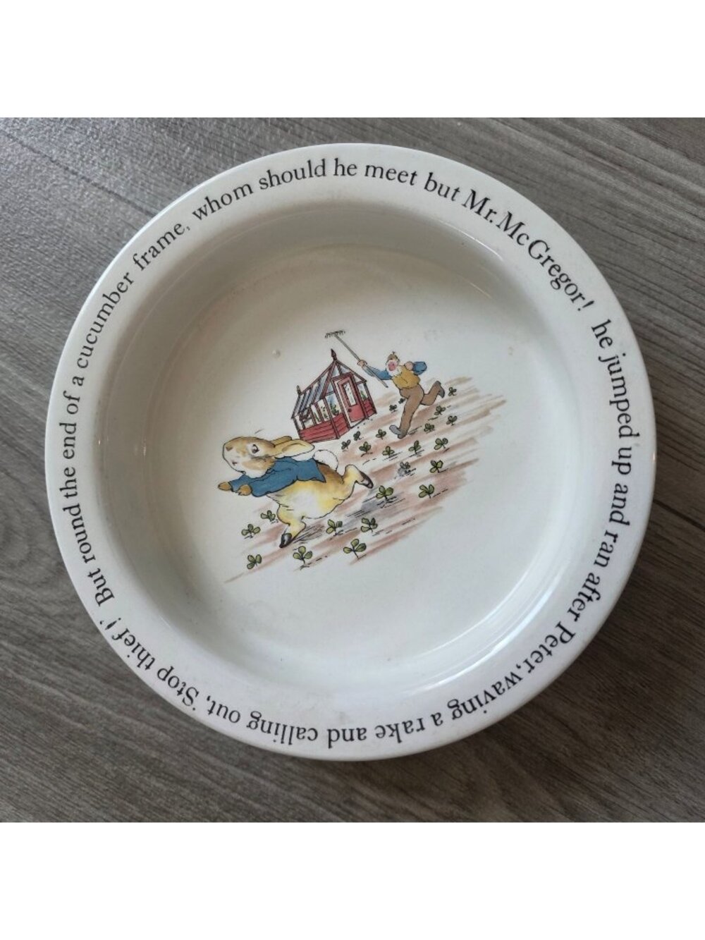 Beatrix Potter Wedgwood Peter Rabbit Ceramic Bowl 6.5" Diameter Vintage Made In